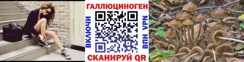 Псилоцибиновые грибы Psilocybe Видное