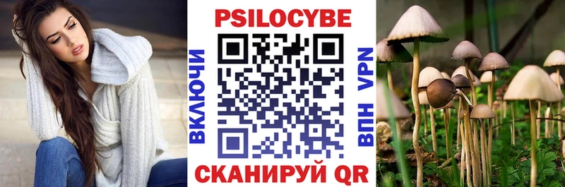 Псилоцибиновые грибы прущие грибы  Видное 